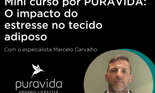 miniatura do curso