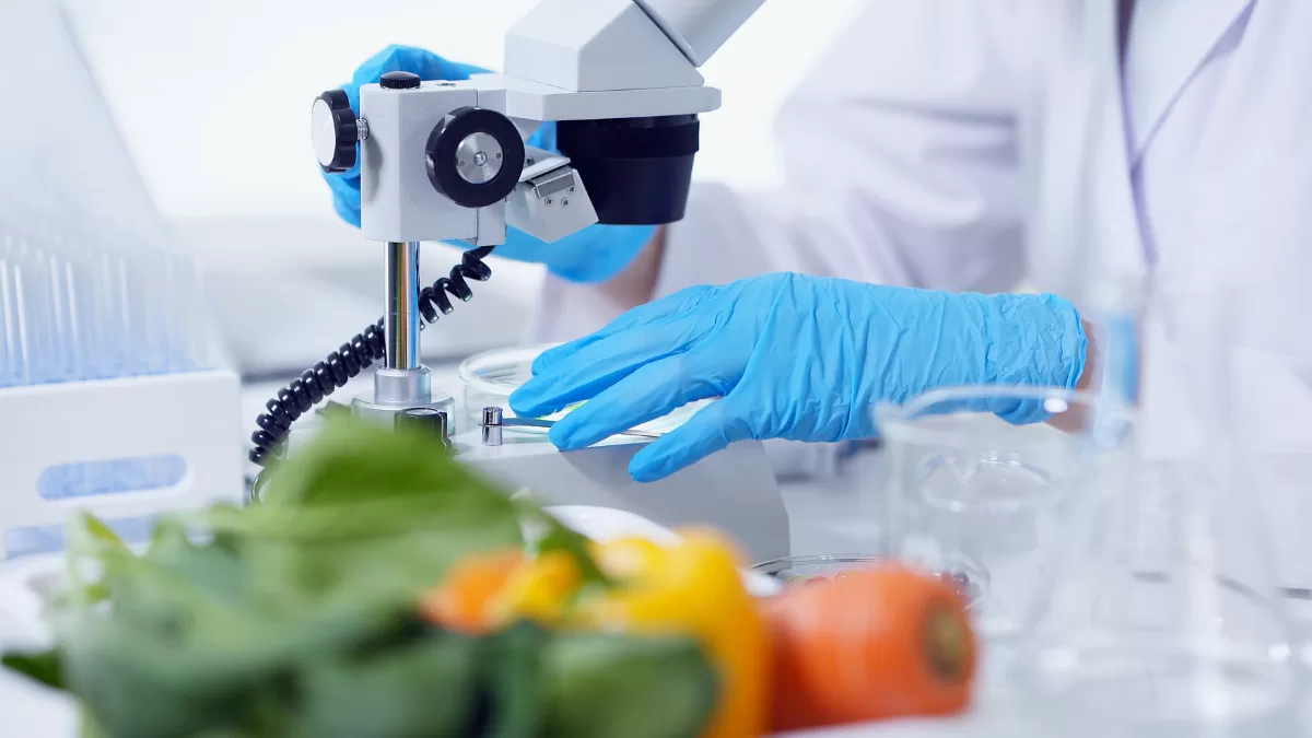 Interpretando os caminhos da ciência da nutrição