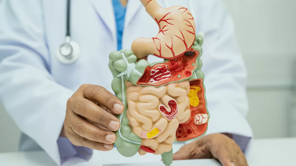 Desconforto intestinal: quando é transitório e quando merece investigação