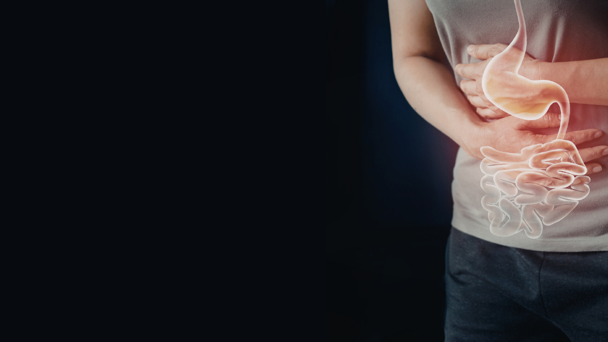 Tudo o que o nutricionista precisa saber sobre permeabilidade intestinal 